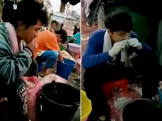 Bạn trẻ - Cuộc sống - Kinh hoàng cảnh tượng công nhân dùng miệng tách xương chân gà, dịch bệnh có thể lây lan
