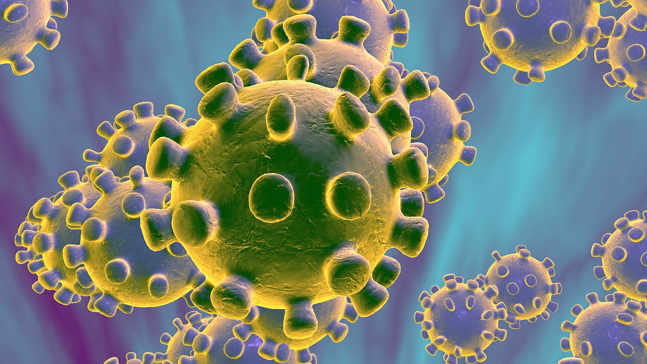 Virus Corona có thể lây truyền qua nhiều con đường khác nhau.