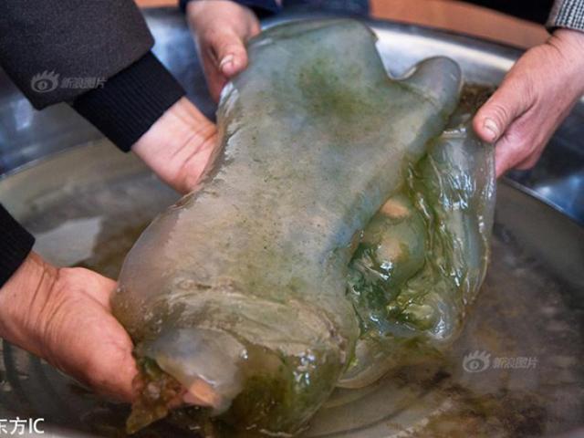 Thị trường - Tiêu dùng - “Khối bầy nhầy” giá 30 tỷ và những “kho báu” trên trời rơi xuống