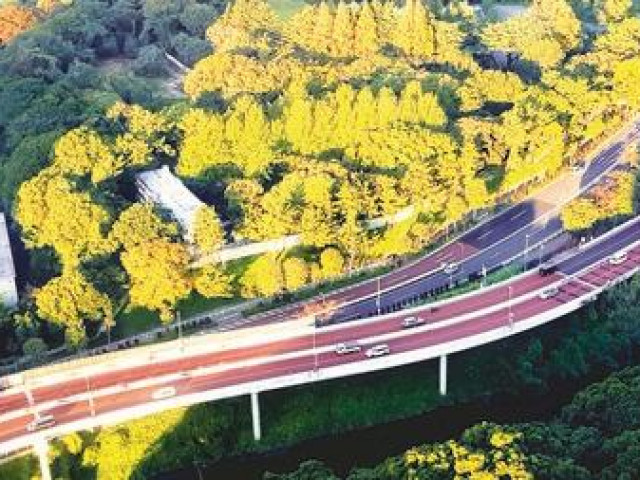 Du lịch - Fukushima hồi sinh sau thảm họa kép