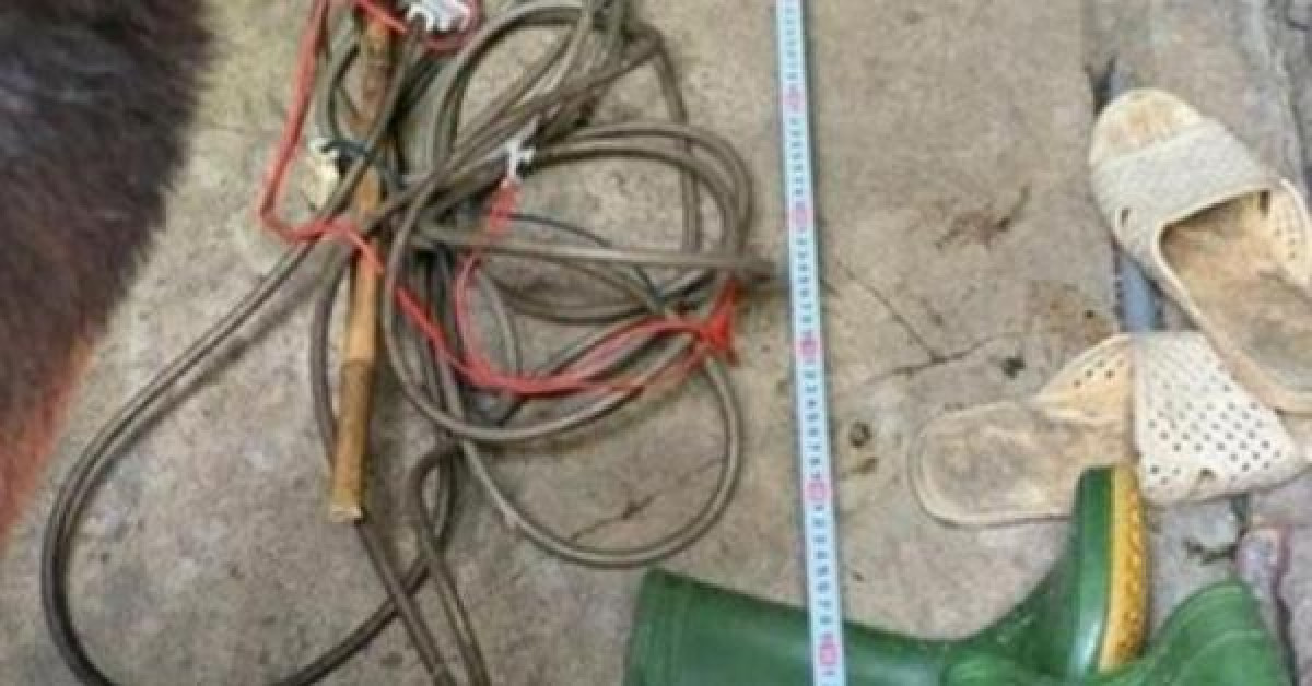 Pháp luật - Lời khai của người chồng sát hại vợ bằng... dụng cụ chích lợn