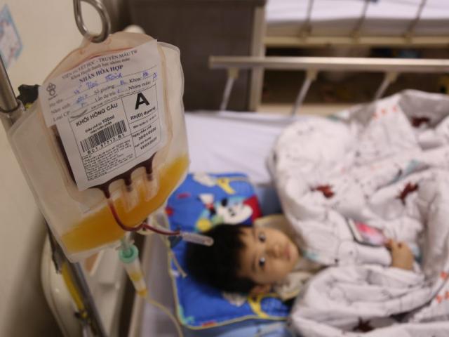 Sức khỏe đời sống - Hàng ngàn người bệnh đang “khắc khoải” chờ máu trong vụ dịch virus Corona