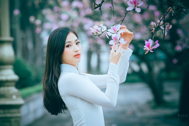 Và đặc biệt khi bắt đầu mùa xuân, các con phố Hà Nội lại ngập tràn cảnh sắc lãng mạn của mùa hoa ban tím biếc