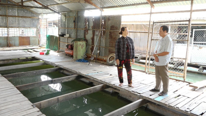 Ông Nguyễn Văn Khơi, Chủ tịch UBND huyện Hồng Ngự đến tìm hiểu nguyên nhân