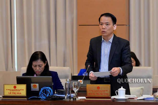 Chủ nhiệm UBPL Hoàng Thanh Tùng