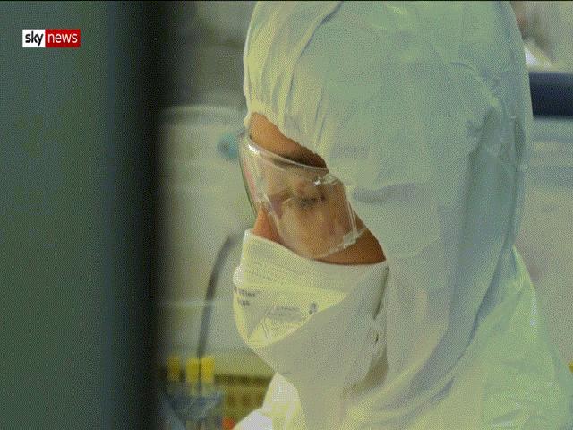 Thế giới - Gặp "biệt đội" 20 người đang ngày đêm "săn" virus Corona ở Thái Lan