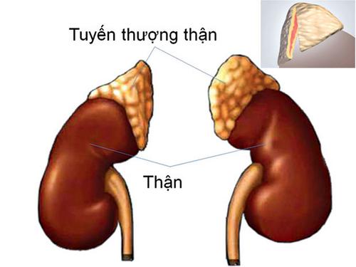 Lười sinh hoạt vợ chồng: Được 1 mất 5 - 2