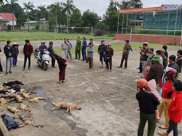 Pháp luật - Người dân vây bắt 2 anh em ném bả đầu độc hàng loạt chó mèo