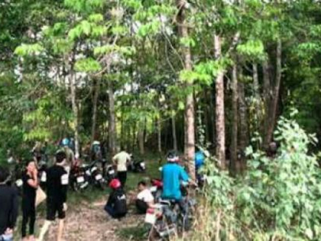 Pháp luật - Dẫn bé gái vào rừng xem bẫy thú, nổi thú tính giở trò đồi bại