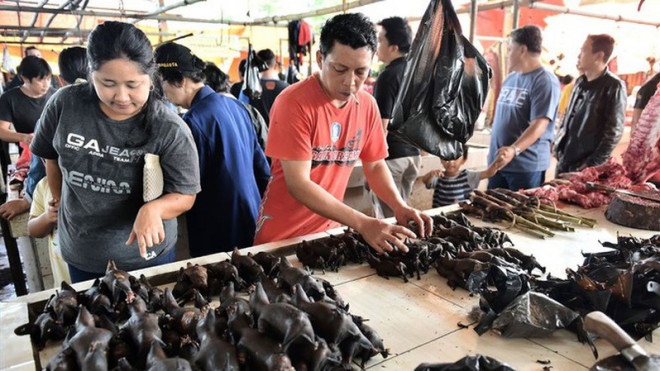 Các loài động vật hoang dã được bày bán công khai tại khu chợ Tomohon, Bắc Sulawesi, Indonesia. Ảnh: BLOOMBERG