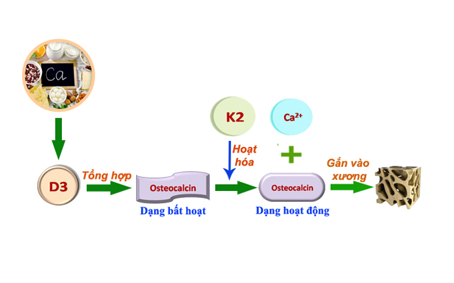 Bí mật lộ trình giúp trẻ Việt tăng chiều cao tự nhiên tối ưu - 2