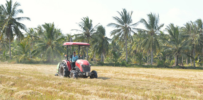Máy kéo YM đa năng có thể hoạt động trong cả ruộng khô và ướt lầy