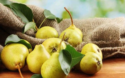 8 thực phẩm &#39;cứu tinh&#39; của phổi nên ăn trong những ngày dịch bệnh - 2