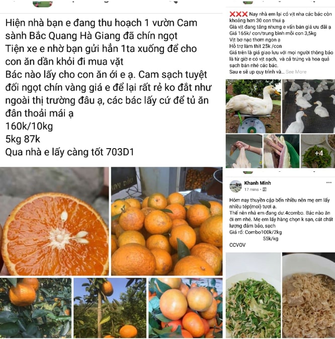 Tại các group hội nhóm, người mua dễ dàng "đi chợ" và được ship tận nhà