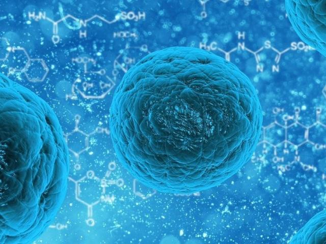 Thế giới - Tìm ra “gót chân Achilles” của tất cả các loại virus trên Trái đất?