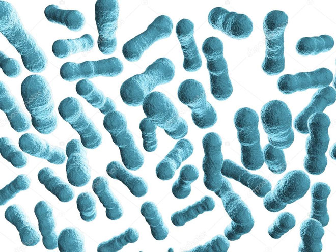Bổ sung lợi khuẩn giúp phòng ngừa nguy cơ kháng kháng sinh