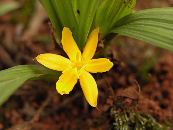 Viên uống tăng chất lượng tinh trùng được các cặp vợ chồng mong con tìm kiếm! - 3