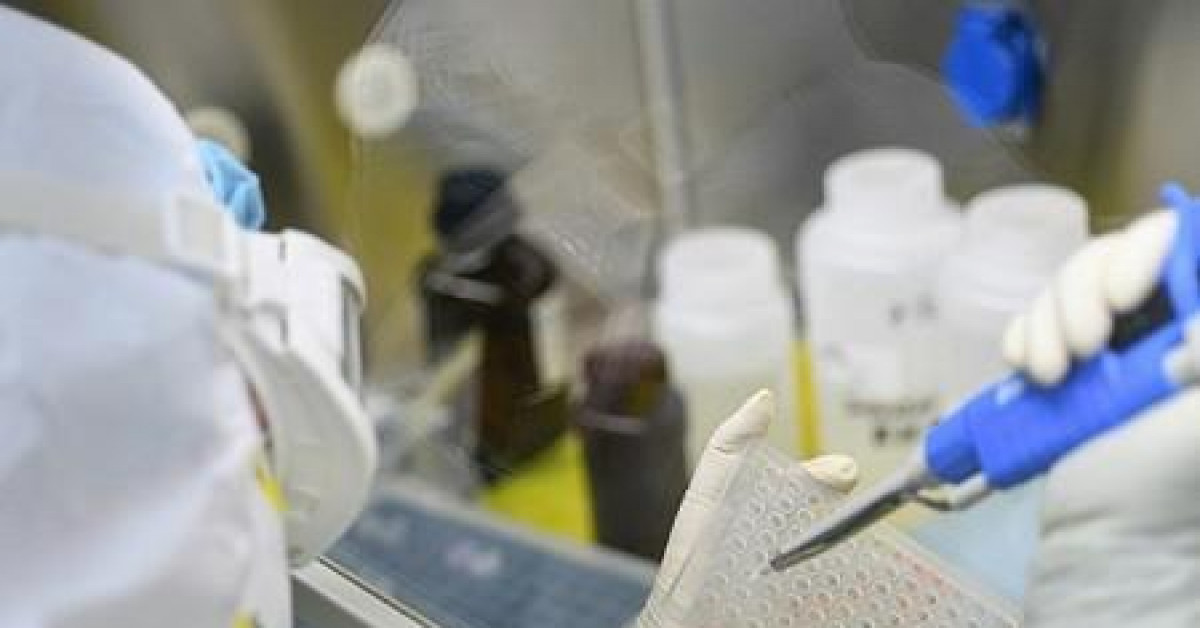 Sức khỏe đời sống - WHO nói gì về Covid-19?