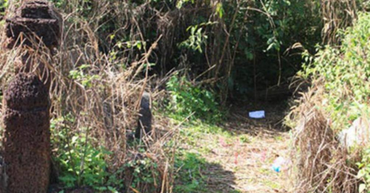 Pháp luật - Tạm giam 9X cưỡng hiếp bé 12 tuổi sau chầu nhậu khuya