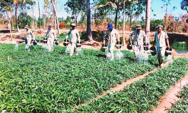 Các phạm nhân tại Trại giam Thủ Đức được lao động cải tạo phù hợp với sức khỏe.