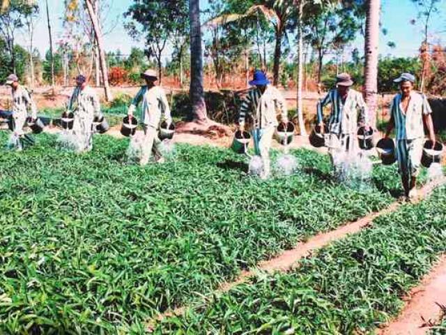 Pháp luật - Chuyện tình ở trại giam của phạm nhân người nước ngoài biết 6 thứ tiếng