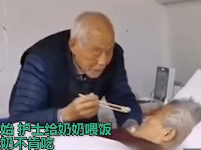 Bạn trẻ - Cuộc sống - Clip: Cùng mắc Covid-19, cụ ông vẫn cầm theo túi truyền tới giường bệnh bón thức ăn cho vợ