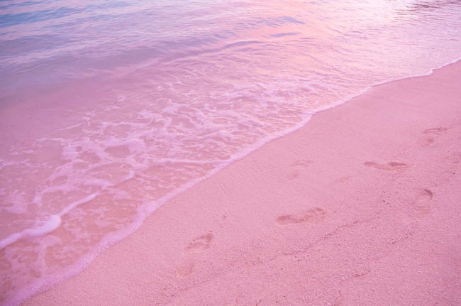Đảo Harbour, Bahamas: Hòn đảo ở Bahamas được biết đến nhờ những bãi biển cát hồng dọc bờ biển phía đông. Màu hồng nhạt của cát đến từ vi sinh vật có tên foraminifera. Chúng sống dưới các rạn san hô xung quanh bãi biển.
