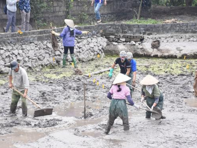 Tin tức trong ngày - Những hình ảnh ngày đầu tiên khai quật bãi cọc tại Đầm Thượng