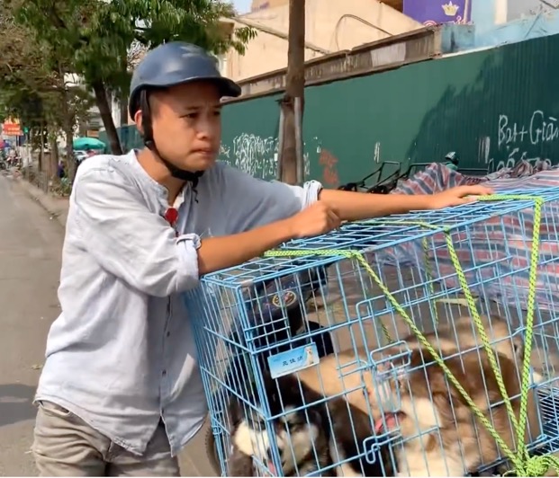 YouTuber 17 tuổi được cộng đồng mạng mệnh danh là "thánh bán chó".