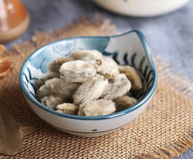 Nụ hoa Tân di là vị thuốc nổi tiếng để chữa viêm xoang.