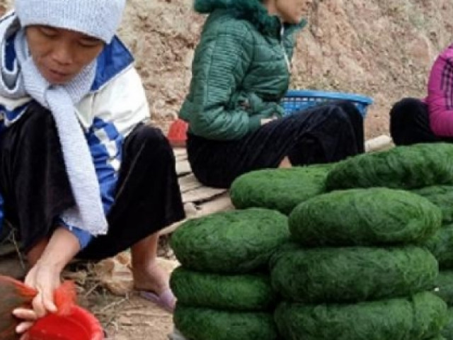 Ẩm thực - Nhìn như cục bông xanh biếc, hóa ra là món đặc sản lấy từ lòng suối