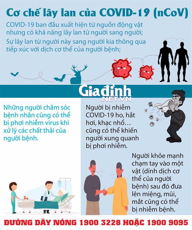 Xuất hiện thông báo &#34;giả&#34; cho học sinh tỉnh Thái Bình nghỉ học hết tháng 3 vì dịch bệnh COVID-19 - 2