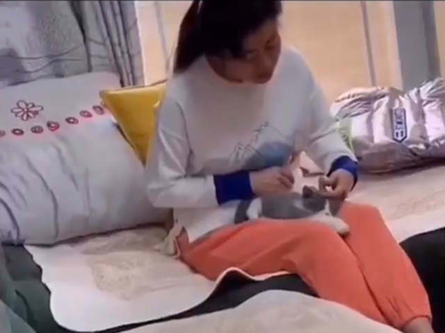 Video Clip Cười - Không biết ai mới là con đẻ của bố mẹ?