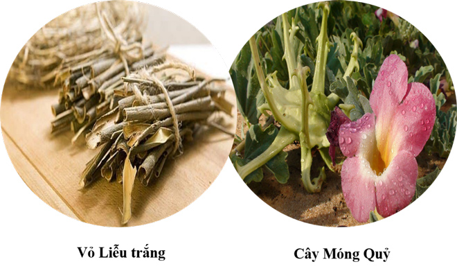 Viêm đa khớp gây sưng đau cổ tay, ngón tay, vai gáy - xử lý thế nào? - 2