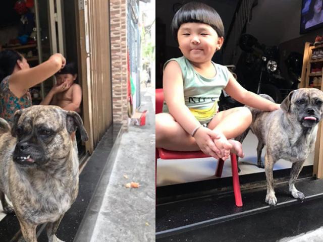 Bạn trẻ - Cuộc sống - Cậu chủ khóc nức nở khi bị cắt tóc, biểu cảm của chú chó bên cạnh khiến dân mạng không nhịn cười