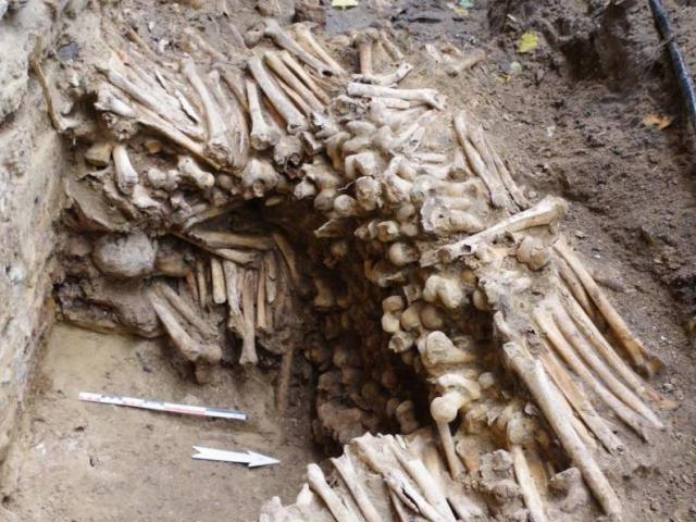 Phi thường - kỳ quặc - Phát hiện “rùng rợn” dưới lòng nhà thờ tại Bỉ