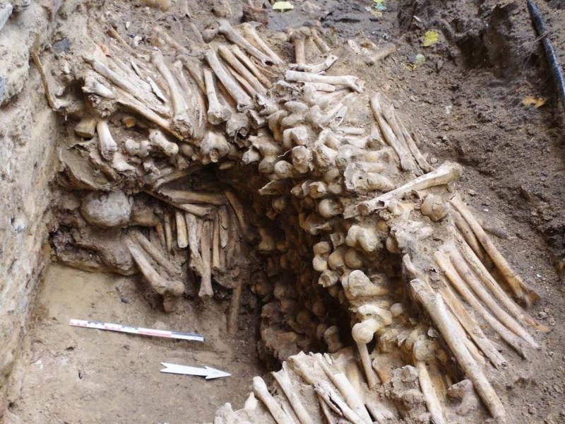 Bức tường làm từ hộp sọ và xương người được phát hiện dưới lòng nhà thờ&nbsp;Saint-Bavariao, Bỉ (Ảnh: Independent)
