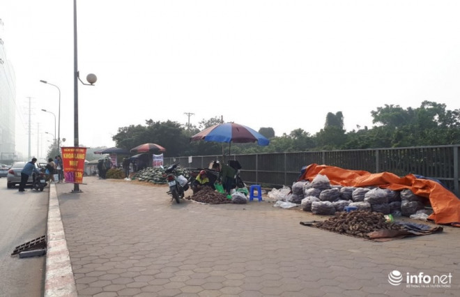 Khoai lang Nhật vừa bở, vừa ngọt nên nhiều người đến mua với số lượng nhiều để về ăn dần.