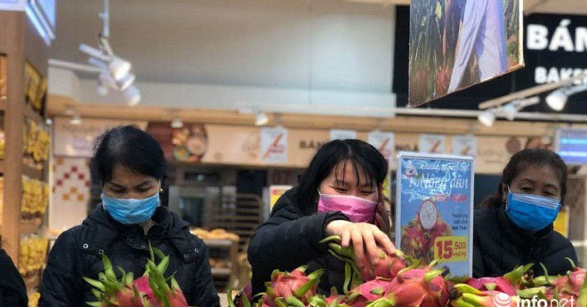 Thị trường - Tiêu dùng - Giải cứu nông sản: Phát triển công nghiệp chế biến thay vì xuất khẩu tươi?