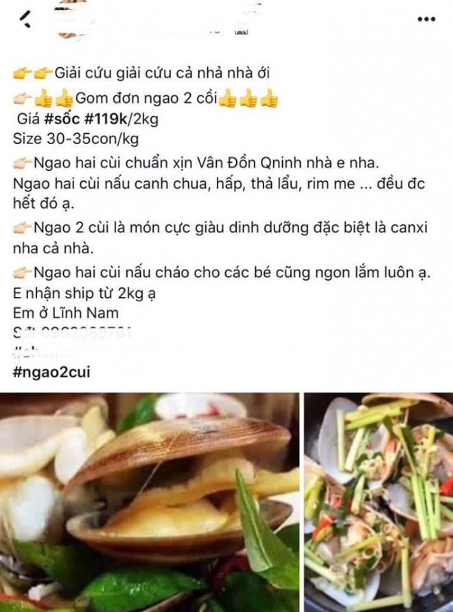 Tràn ngập "giải cứu" trên chợ mạng