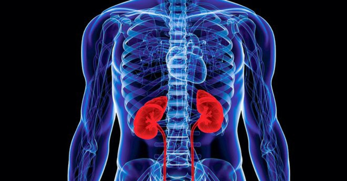 Sức khỏe đời sống - Ai có nguy cơ suy thận?