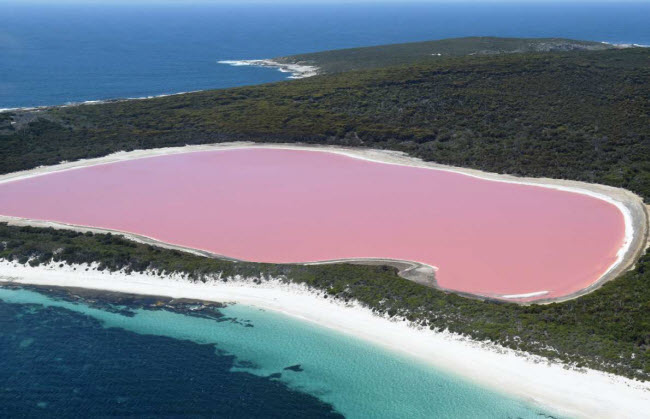 Hồ Hillier, Australia: Màu hồng đặc trưng của hồ được tạo ra bởi một loại tảo phát triển mạnh trong nước. Loại tảo này không ảnh hưởng tới hệ sinh thái của hồ cũng như người dân địa phương.
