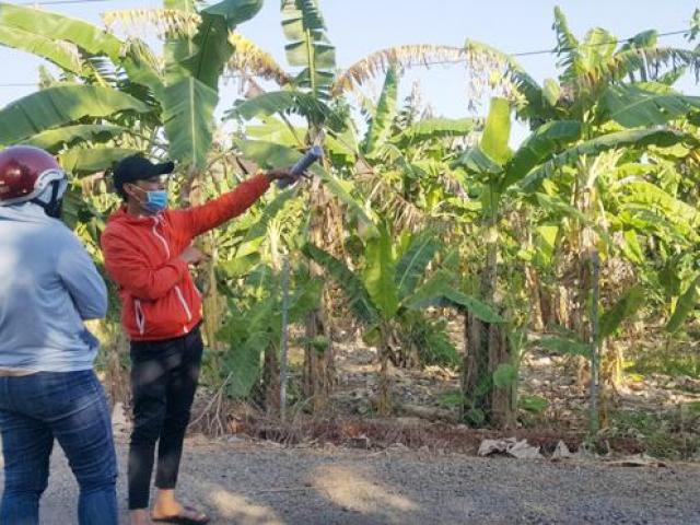 Kinh doanh - Cơn sốt ảo đi qua, nỗi lo thật ở lại