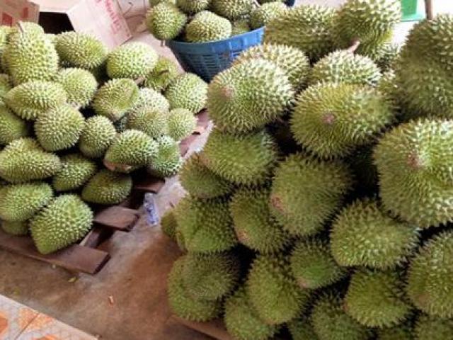 Thị trường - Tiêu dùng - Loạt bí mật bất ngờ về sầu riêng - loại quả đang được "giải cứu" mùa Corona