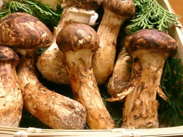 Thị trường - Tiêu dùng - Ở Nhật Bản, nếu mâm cơm có những thứ này là biết ngay nhà giàu "nứt đố đổ vách"