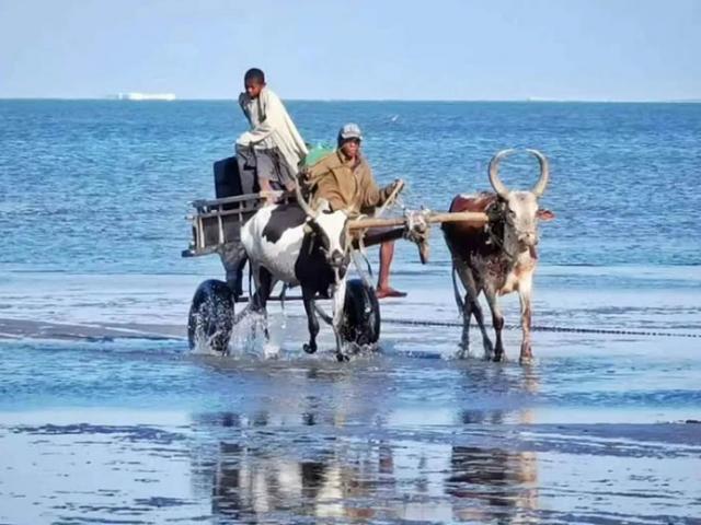 Du lịch - 6 quan niệm hầu hết mọi người nghĩ sai về châu Phi