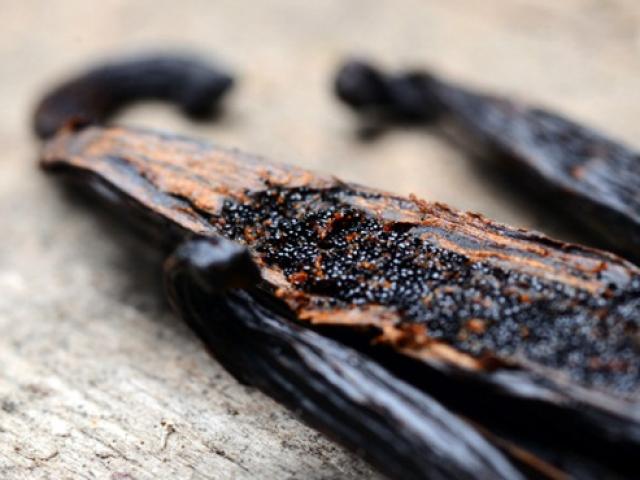 Thị trường - Tiêu dùng - Nhìn như que củi khô, trồng chỉ lo bị trộm, bán 20 triệu/kg chẳng mấy mà giàu