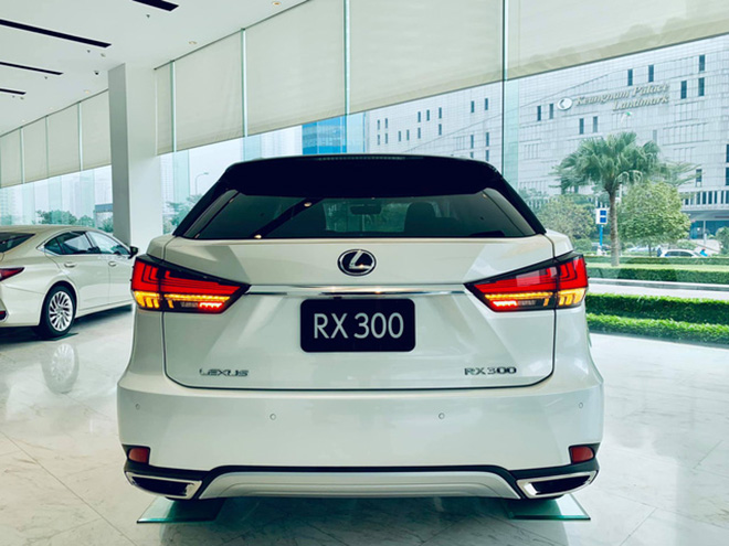 Cận cảnh Lexus RX300 2020 vừa về Việt Nam, giá từ 3,18 tỷ đồng - 3
