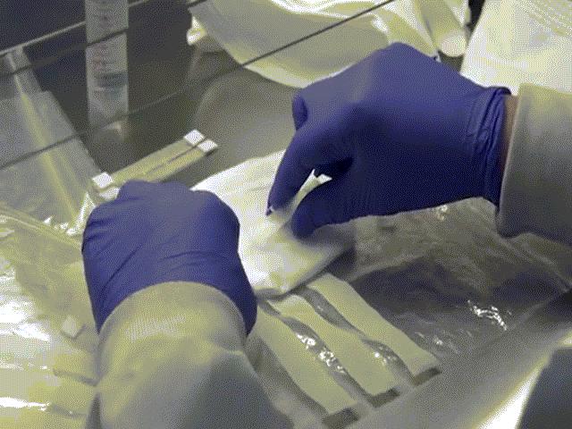 Thế giới - Loại khẩu trang có thể phát hiện virus Covid-19 trong vài giờ