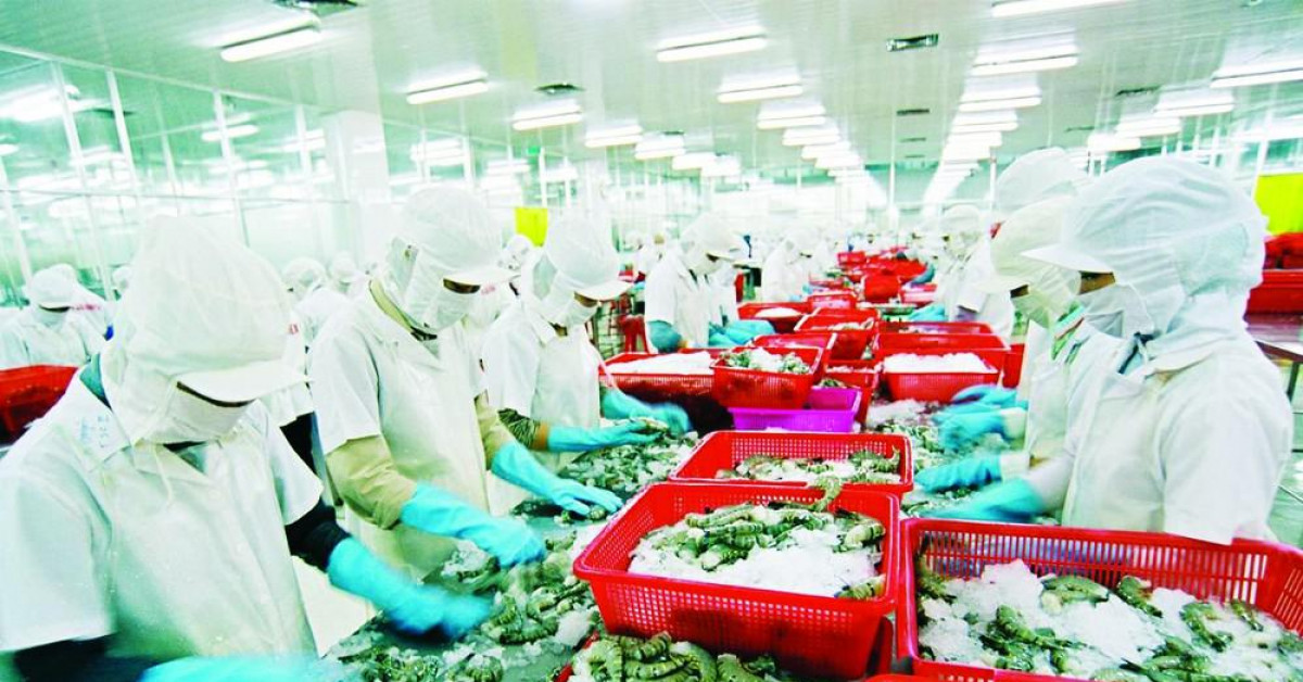 Thị trường - Tiêu dùng - Xuất khẩu hải sản Việt Nam sang EU giảm sút vì “thẻ vàng”